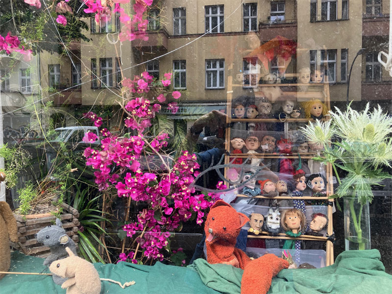 Bougainvillea-Blüte